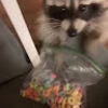 mckenziecakes74